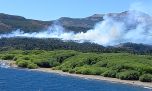 Cientos de bomberos y brigadistas combaten un voraz incendio en el Parque Nacional Los Alerces