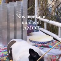 Calu Rivero perdió a su mascota "Liona" y le hizo una ceremonia para despedirla