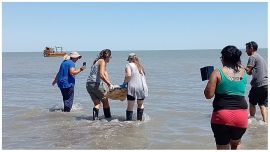 El ejemplar había sido rescatado con signos de agotamiento.