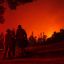 Death toll in Chile forest fires rises to 24