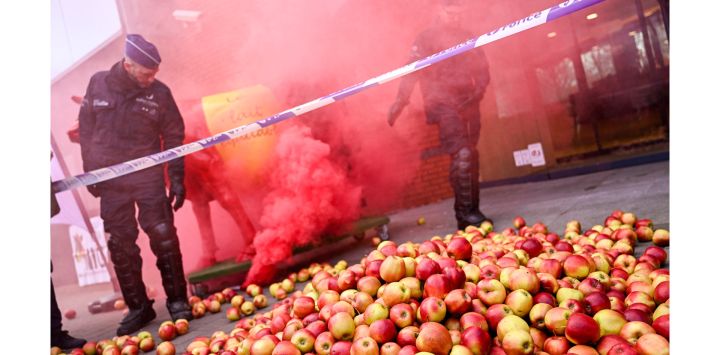Policías observan manzanas tiradas por productores de fruta enfadados durante una acción para exigir precios más altos para sus productos, frente a la sede de la organización comercial Comeos en Bruselas.