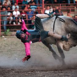 Un jinete de toros se cae de un toro mientras actúa durante un evento tradicional de monta de toros durante la celebración de una fiesta religiosa en honor a la Virgen de la Candelaria en Teustepe, Nicaragua. | Foto:OSWALDO RIVAS / AFP