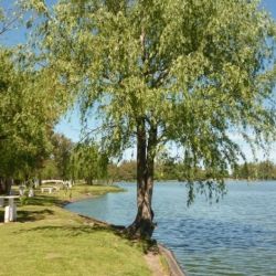 La laguna de Navarro tiene una superficie de 165 kilómetros. 