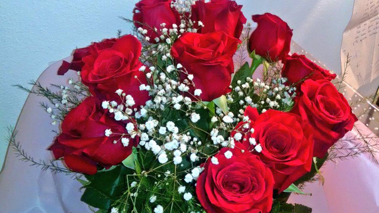 Rosas, las flores más elegidas | Foto:CEDOC