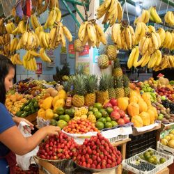 Una vendedora de fruta espera por clientes en un puesto del mercado "Virgen de Las Mercedes", en el distrito de Lurín, en el sur de Lima, Perú | Foto:Xinhua/Mariana Bazo