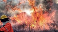 Por la ola de calor, hay incendios activos en cinco provincias