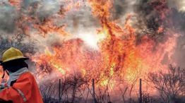 Por la ola de calor, hay incendios activos en cinco provincias