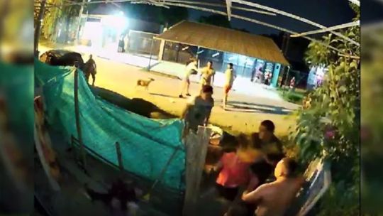 Video: brutal enfrentamiento entre vecinos de Campana porque un perro mató al pollito de otra familia