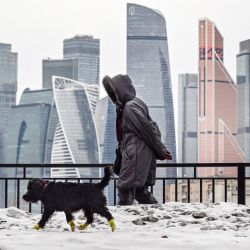 Una mujer pasea a su perro delante de los edificios del Centro Internacional de Negocios de Moscú, Rusia. | Foto:ALEXANDER NEMENOV / AFP