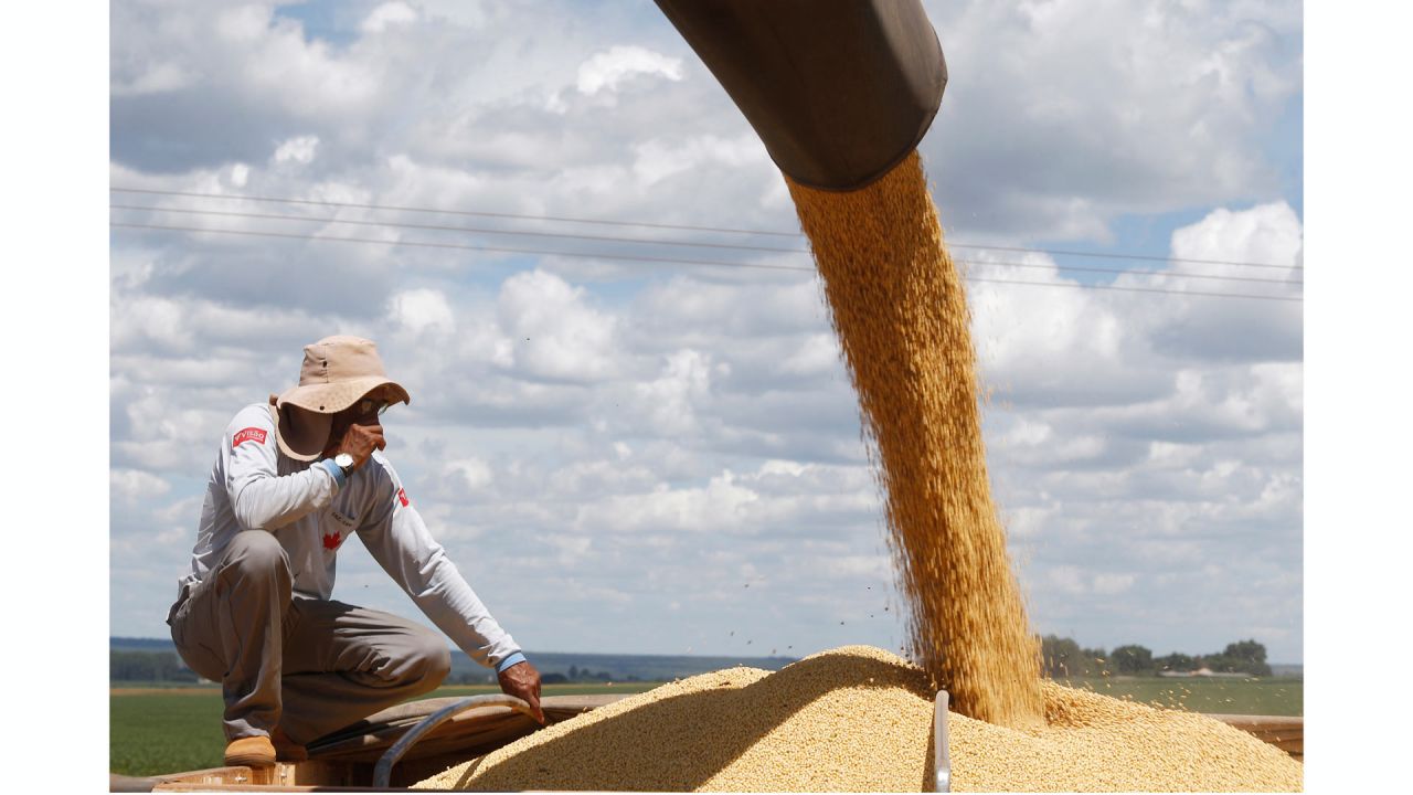 Un trabajador observa una máquina agrícola que vierte soja en un camión en la granja Nativa, en el Núcleo Rural Buriti Vermelho, en Brasilia, Brasil. | Foto:Xinhua/Lucio Tavora