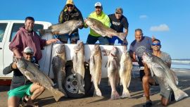 Las corvinas negras en Piedra del Vidalero se están dando con pesos mínimos de entre 10 y 11 kilos, llegando a alcanzar los descomunales 22 kilos. El conocimiento de los equipos y de las técnicas es clave para lograr el objetivo.