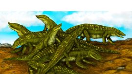 Los aetosaurios fueron un grupo de reptiles que habitó a finales del período Triásico,