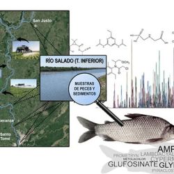 El sábalo se considera el recurso pesquero más abundante en la Cuenca del Plata y un estudio encontró altas concentraciones de plaguicidas en muestras recogidas en el tramo inferior del río Salado.