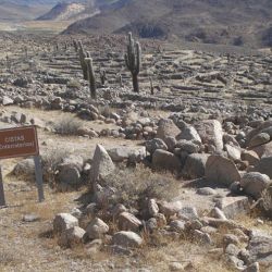 El sitio arqueológico Tastil está ubicado a 3.200 metros sobre el nvel del mar, en la llamada pre-puna, 100 kilómetros al oeste de la ciudad de Salta, 