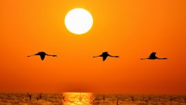 Desde Códoba, el Parque Nacional serrano promueve nuevas experiencias y brinda consejos para hacer turismo de conservación.