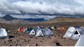 Los restos óseos pertenecieron a un milenario pariente del actual ornitorrinco australiano