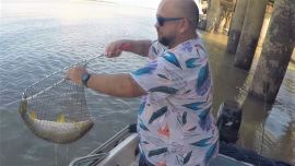 Peleadoras y de carne sabrosa, las bogas obligan al pescador deportivo a cumplir con las devoluciones de piezas pequeñas a rajatabla.