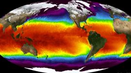 En 2022, la temperatura media global superó en 1,15 °C los niveles existentes en la segunda mitad del siglo XI