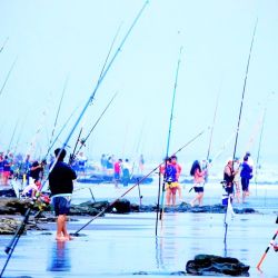 En un relevamiento a nivel nacional sobre las actividades al aire libre preferidas por los argentinos, se reveló que la pesca deportiva es una de las más practicadas.