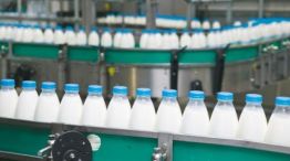 Producción de leche