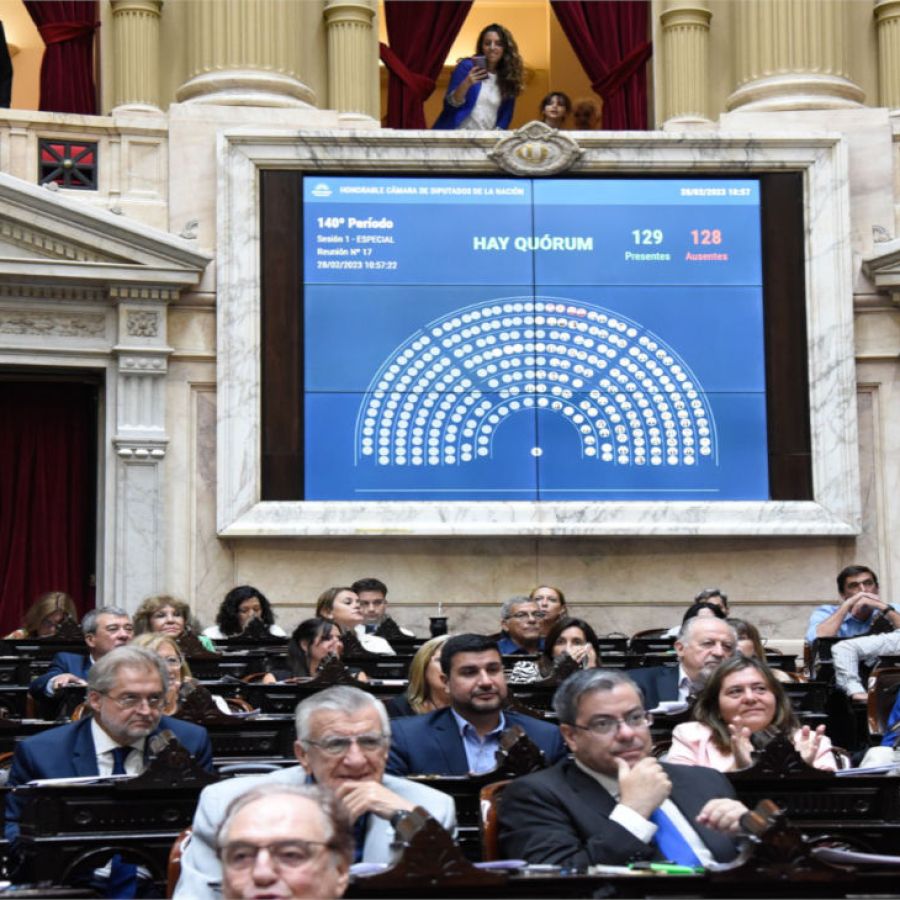 Elecciones 2023: cómo queda conformada la Cámara de Diputados | Perfil