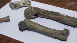 El equipo estudió la separación de la Península Antártica de América del Sur