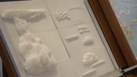 Es el primero de su tipo en el mundo