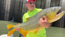 En Concordia, Entre Ríos, la jornada fue una experiencia soñada con capturas de enormes dorados, algunos de los cuales llegaron a rondar los 20 kilos de peso.