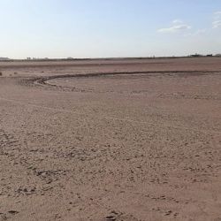 La laguna se convirtió en un inmenso terreno agrietado.