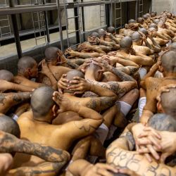 Foto que muestra la llegada de reclusos pertenecientes a las pandillas MS-13 y 18 al nuevo centro penitenciario "Centro de Reclusión de Terroristas" (CECOT), en Tecoluca, 74 km al sureste de San Salvador. | Foto:Presidencia salvadoreña / AFP