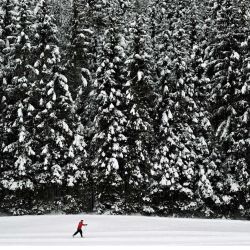 Un esquiador se abre paso a través de un paisaje nevado cerca del pequeño pueblo bávaro de Kruen, cerca de Garmisch-Partenkirchen, al sur de Alemania, mientras las temperaturas eran de unos dos grados por debajo del punto de congelación. | Foto:Christof Stache / AFP