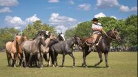 Campo argentino, Urdinarrain en Entre Ríos 20230302