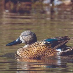 Desde la pesca pese a la sequìía y el anticipo de adónde ir en Semana Santa, Weekend de marzo tiene de todo!