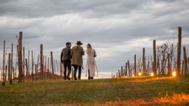 Vendimias nocturnas, una tendencia en enoturismo.