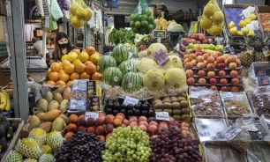Verduras 20230305