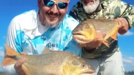 Los dorados de buen porte fueron las estrellas de esta jornada litoraleña. Aunque también hubo pirá pitás.