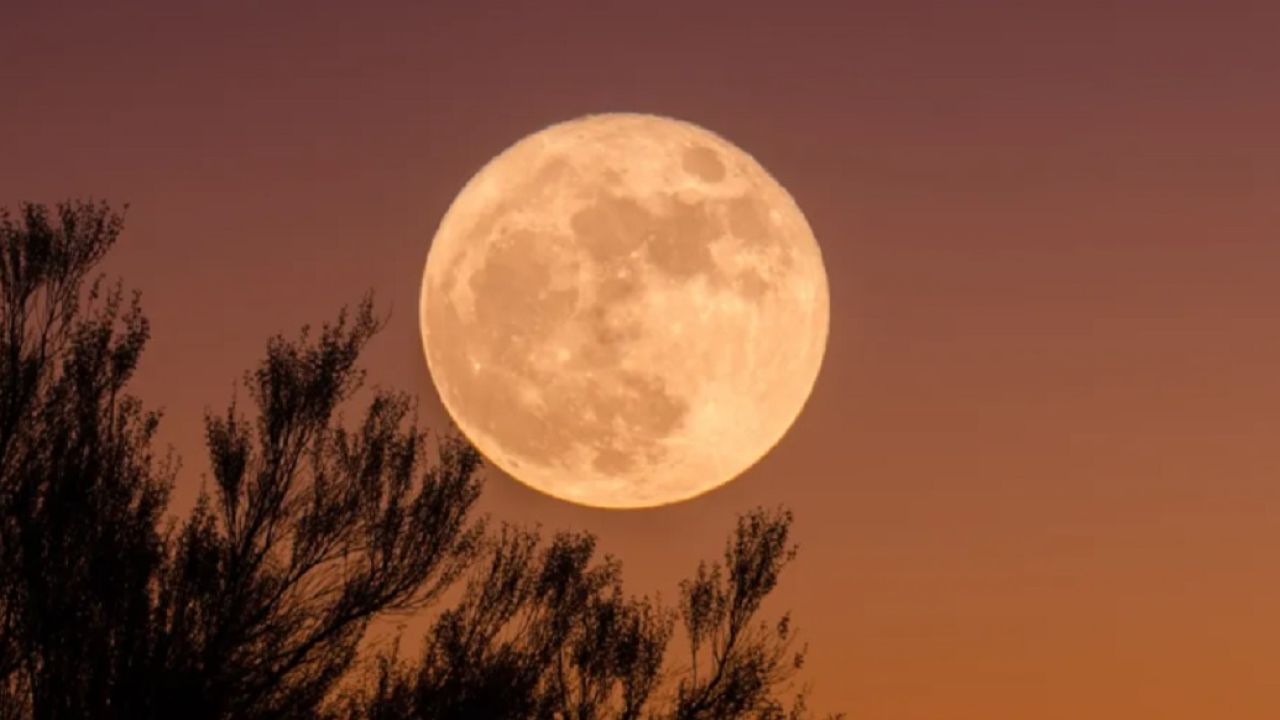 ¿Cuándo y a qué hora podrá verse la Luna de Gusano 2023 desde la