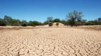 La peor sequía de los últimos 30 años