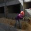 From homemakers to home builders: Venezuelan women breaking ground