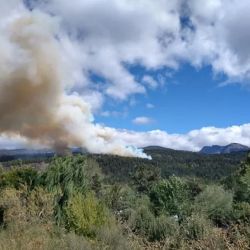 El fuego sigue presente en cuatro provincias argentinas.