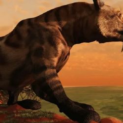 El tigre dientes de sable convivió con los dinosaurios, hace 12.000 años.
