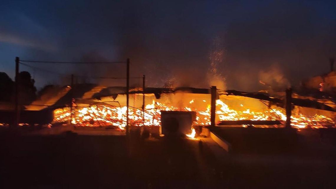 La Plata: se concendió una caballeriza y ocho caballos murieron calcinados
