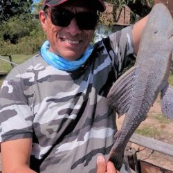 Doradillos, bagres amarillos, tarariras, bogas y carpas, una variada de lujo en aguas del Club de Pesca El Anzuelo.