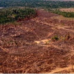 la deforestación a mayor escala en el sur de la Amazonía reduce el reciclaje de las precipitaciones en América del Sur.