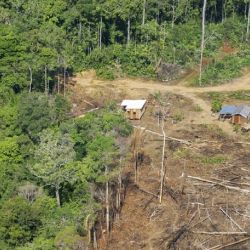 lLa pérdida de los bosques tropicales provocaba una reducción de las precipitaciones a lo largo de todo el año, 