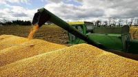 Crisis sin precedentes: la venta de granos refleja una caída interanual del 52%