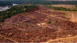 la deforestación a mayor escala en el sur de la Amazonía reduce el reciclaje de las precipitaciones en América del Sur.