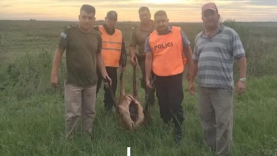 Detienen en Corrientes a tres cazadores furtivos con un ciervo de los pantanos faenado