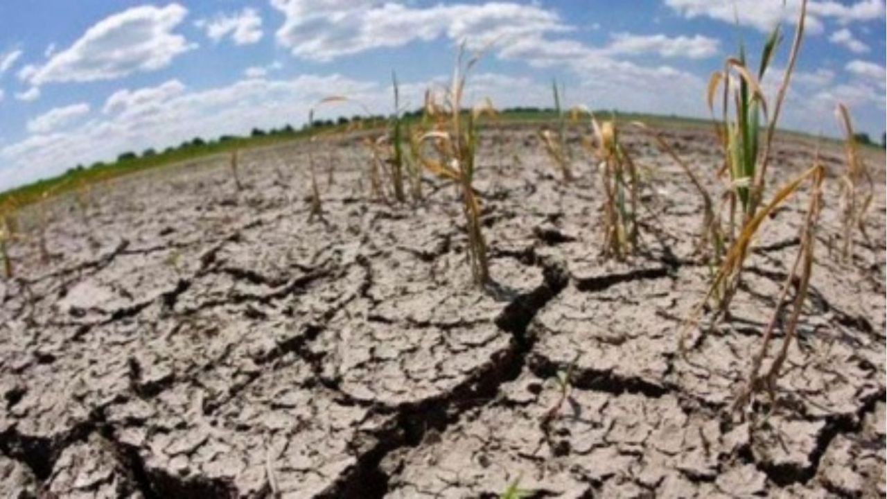 Por la sequía, Argentina tendrá la peor producción de granos del siglo | Perfil