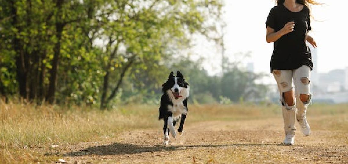 Canicross: Te contamos cuál es la correa ideal para correr con tu mascota